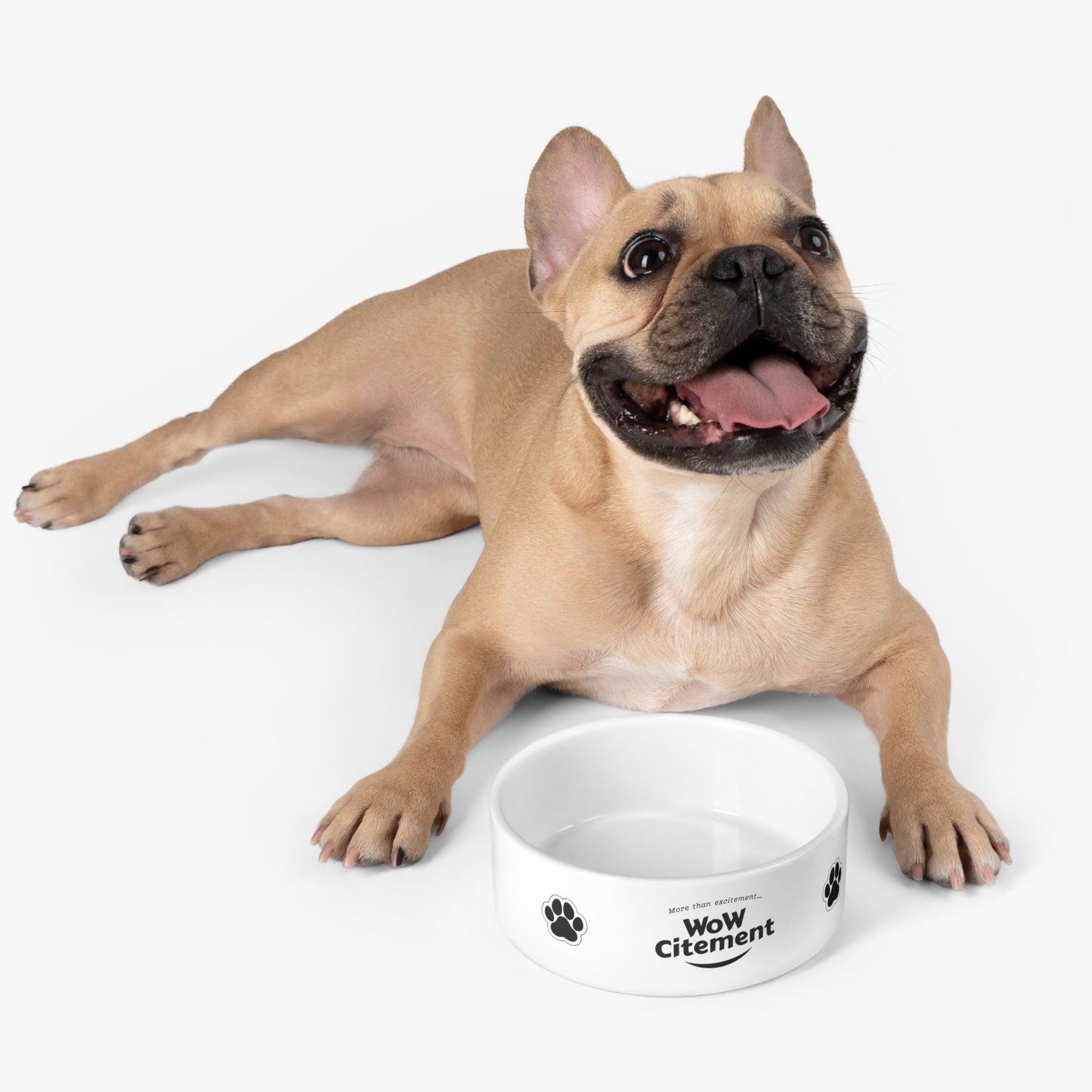 WowCitement Pet Bowl Vibrant Ceramic Dish Durable 16oz Feeding Bowl and Perfect Gift for Pet Lovers