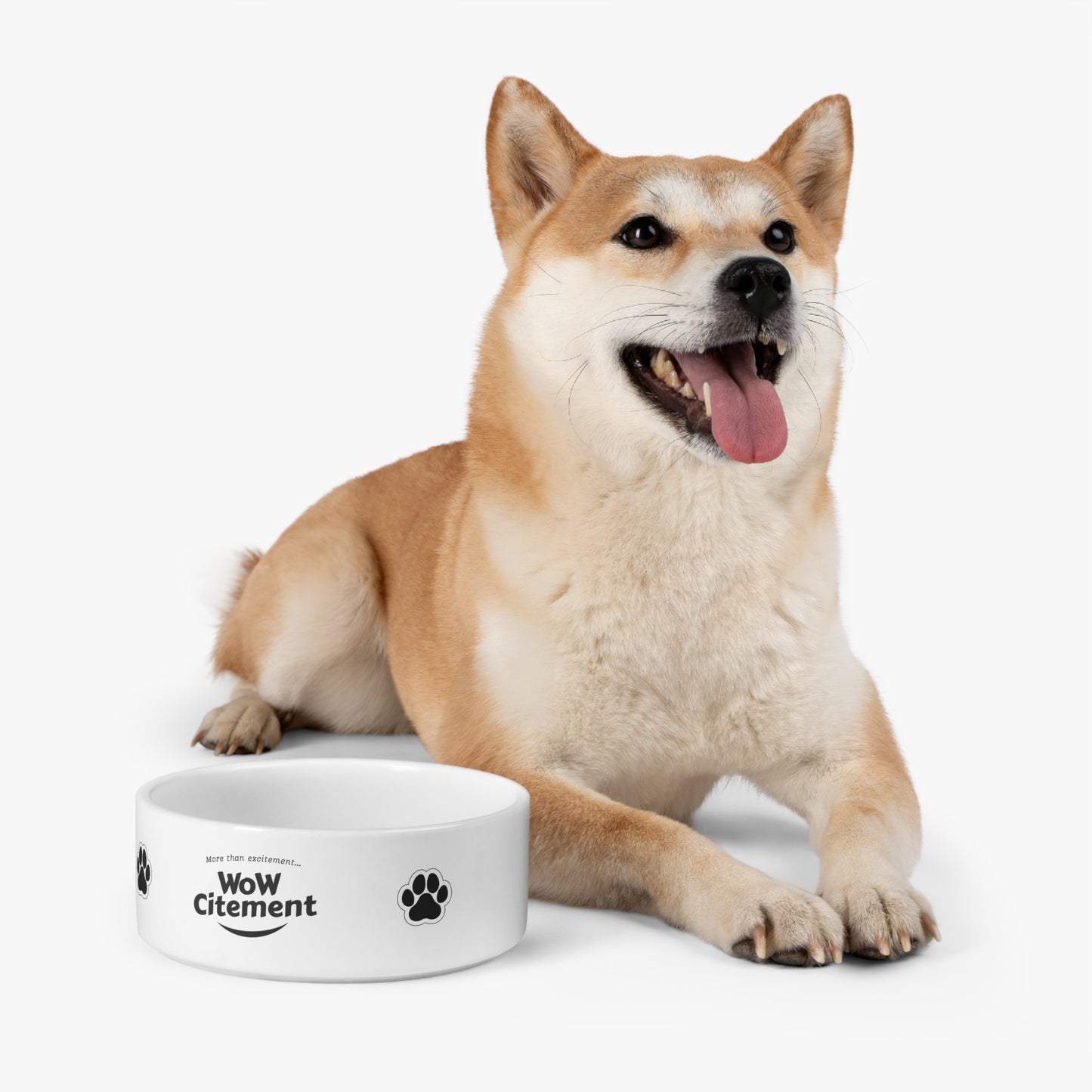 WowCitement Pet Bowl Vibrant Ceramic Dish Durable 16oz Feeding Bowl and Perfect Gift for Pet Lovers