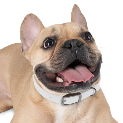 Stylish Dog Collar with Paw Prints | Perfect for Pets & Pet Lovers